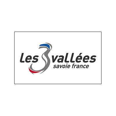 Chauffeur privé pour aller aux stations de ski des 3 Vallées